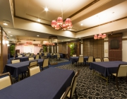 11月定例会